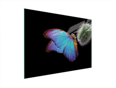 SZKLANA DESKA DO KROJENIA 40x30 MOTYL