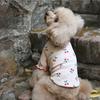 Pure Cotton Cherry Print Wave Side Lapel Top Dog Clothes Pet Clothes Autumn Pet Clothes Sweaters for Pets Dog Christmas Sweater