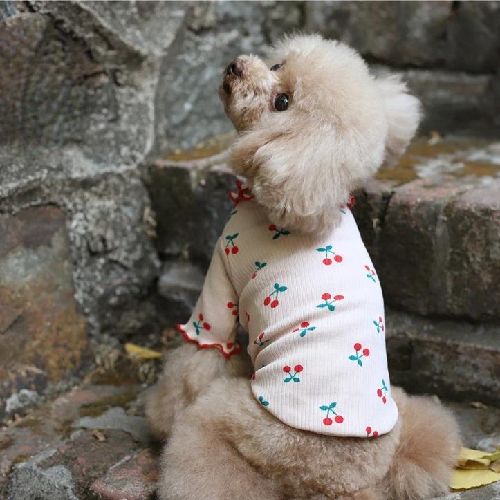 Pure Cotton Cherry Print Wave Side Lapel Top Dog Clothes Pet Clothes Autumn Pet Clothes Sweaters for Pets Dog Christmas Sweater