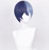 LAOBAO KAITO Kaito Disguise Wig Costume Accessory Cosplay Blue Wig Heat Resistant Party Halloween Costume School Festival Event cosplay wig (Aoyagi To