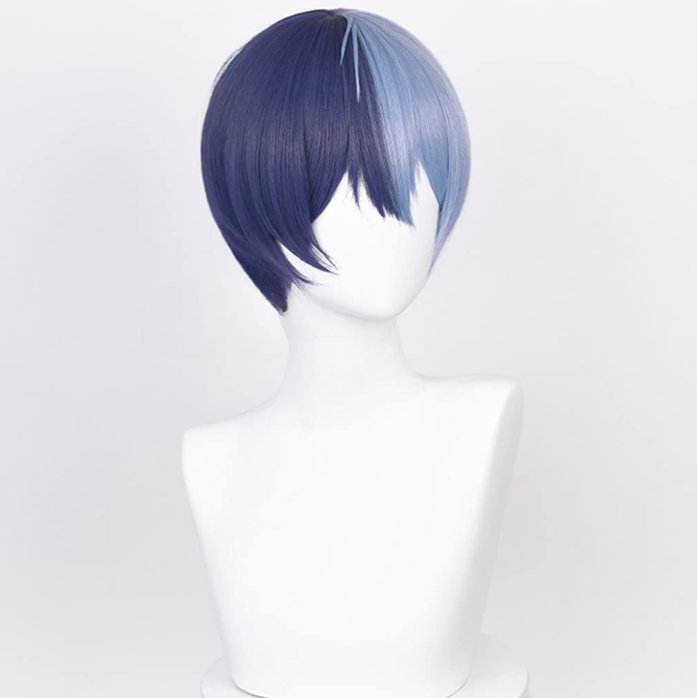 LAOBAO KAITO Kaito Disguise Wig Costume Accessory Cosplay Blue Wig Heat Resistant Party Halloween Costume School Festival Event cosplay wig (Aoyagi To