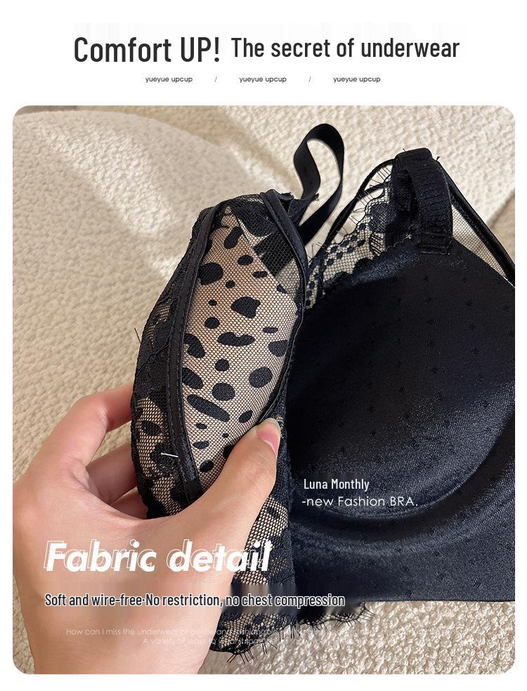 Japanese Style Hollow Lace Bra: Sexy, Supportive, Lift, No Underwire