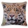 Square Home Decor Pillowcase Cute Wildlife Sofa Waist Pillow  Cushion Cover