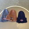 Autumn and Winter Windproof and Warm Korean Style Ear Protection Knitted Hat for Boys and Girls Spring Style Trendy Baby Pullover Hat