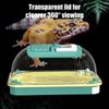 Reptile – Terarii pentru reptile