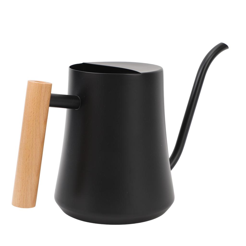 Indoor Watering Can Stainless Steel Wooden Handle Watering Pot with Long Spout for House Plants Flowers Succulents