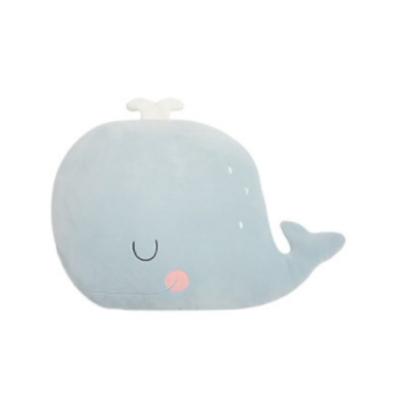 Haesol Baby Good Dream Body Polštář Polštář polštářek Nástavec na polštář pro panenku Velryba, Sky, korejské kojenecké výrobky