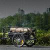 Bike Cargo Trailer, 72.5 Kg Load Capacity, Heavy-Duty Bicycle Wagon Cart, Foldable Compact Storage & Quick Release with Universal Hitch, 40.6 Cm