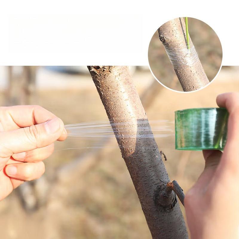 Plant Grafting Special Environmentally Friendly Biodegradable Grafting Tape Grafting Film Horticultural Binding Tape Film