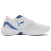 Puma Solarflash 3 Comfortable Soft Low-Top Badminton Shoes Unisex sneaker White Blue 107850-02