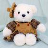 Plush Bear Toy With Clothing For Couples Romantic Gift For Women