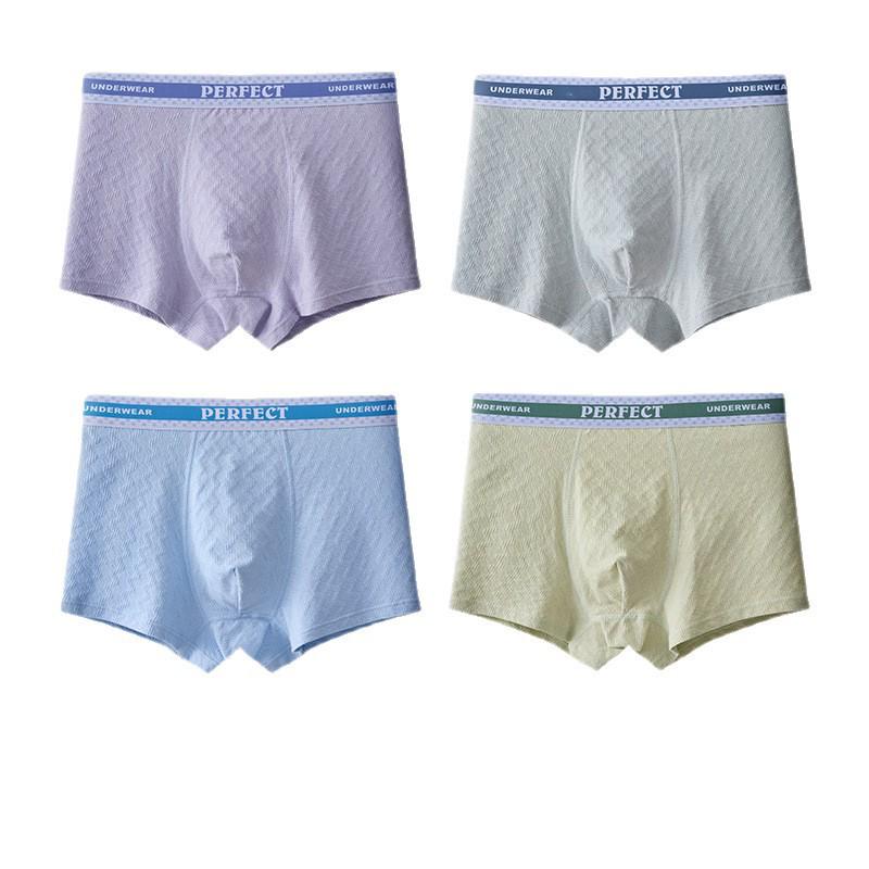 Teen Boys' Antibacterial Cotton Boxer Briefs (Ages 15-18)