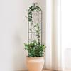 Metal Garden Trellis for Climbing Plant Support 60 X 15 In Rustproof