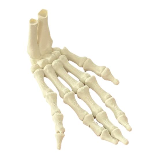 Halloween Skjeletthånd 3D-printet Plast Menneskehånd Beinmodell Skumle Halloween Triks Rekvisitter for Borddekking Festartikler Spøkelseshus Hjemmedekor