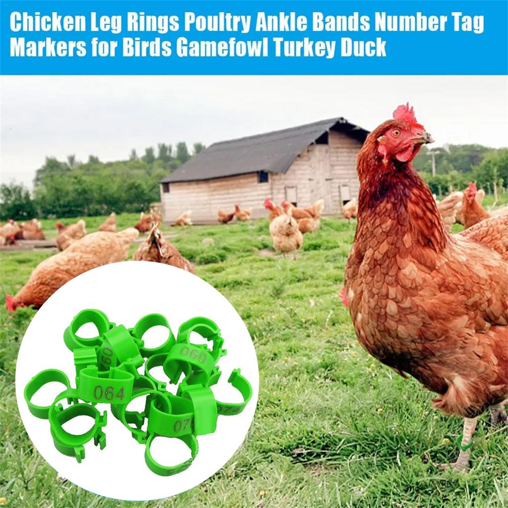 1Pack/100Pcs Inner Diameter 2.5cm Poultry Clip-type Foot Ring NO.001-100 Chicken Duck Goose Pigeon Label Buckle Poultry Supplies