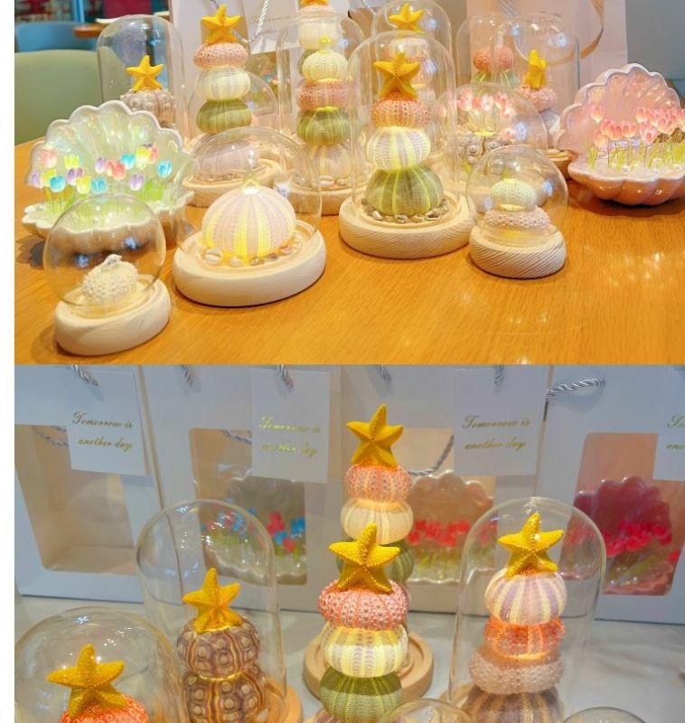 DIY Luminous Sea Urchin Night Light Kit - Birthday Gift for Girlfriend