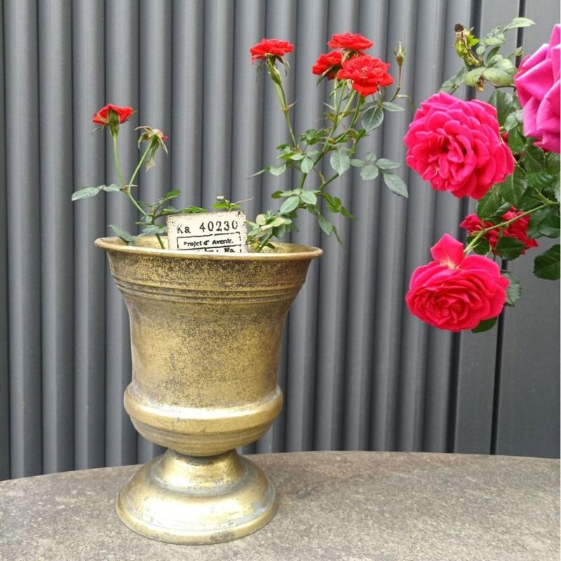 Französischer Landhausstil Pflanzgefäße Dekorative Behälter Ideal für Trockenblumen Kunstpflanzen Bauernhaus Innen Außen Landschaft