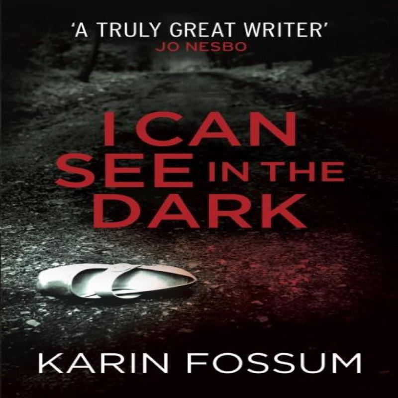 I Can See in the Dark by Karin Fossum Paperback Book 9780099571834