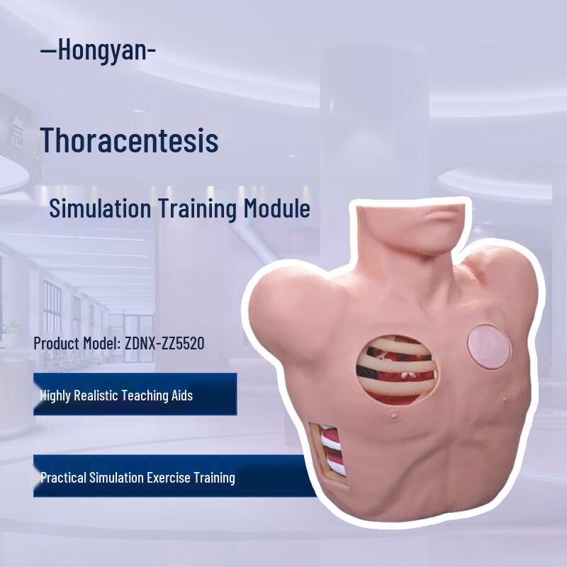 

Hongyan Chest Puncture Drainage Training Model
