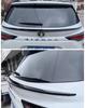 2021-2024 Sienna Roof Spoiler Euro Wing