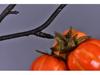 Artificial Small Pumpkin and Berry Branch Decoration for Hotels and Banquets