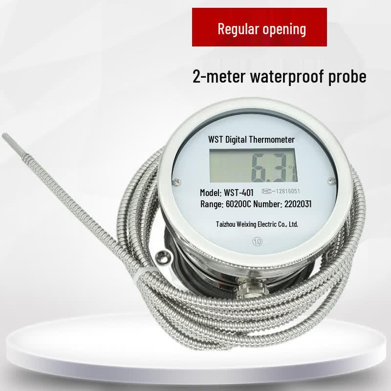 Bodefu HC Digital Industrial Thermometer
