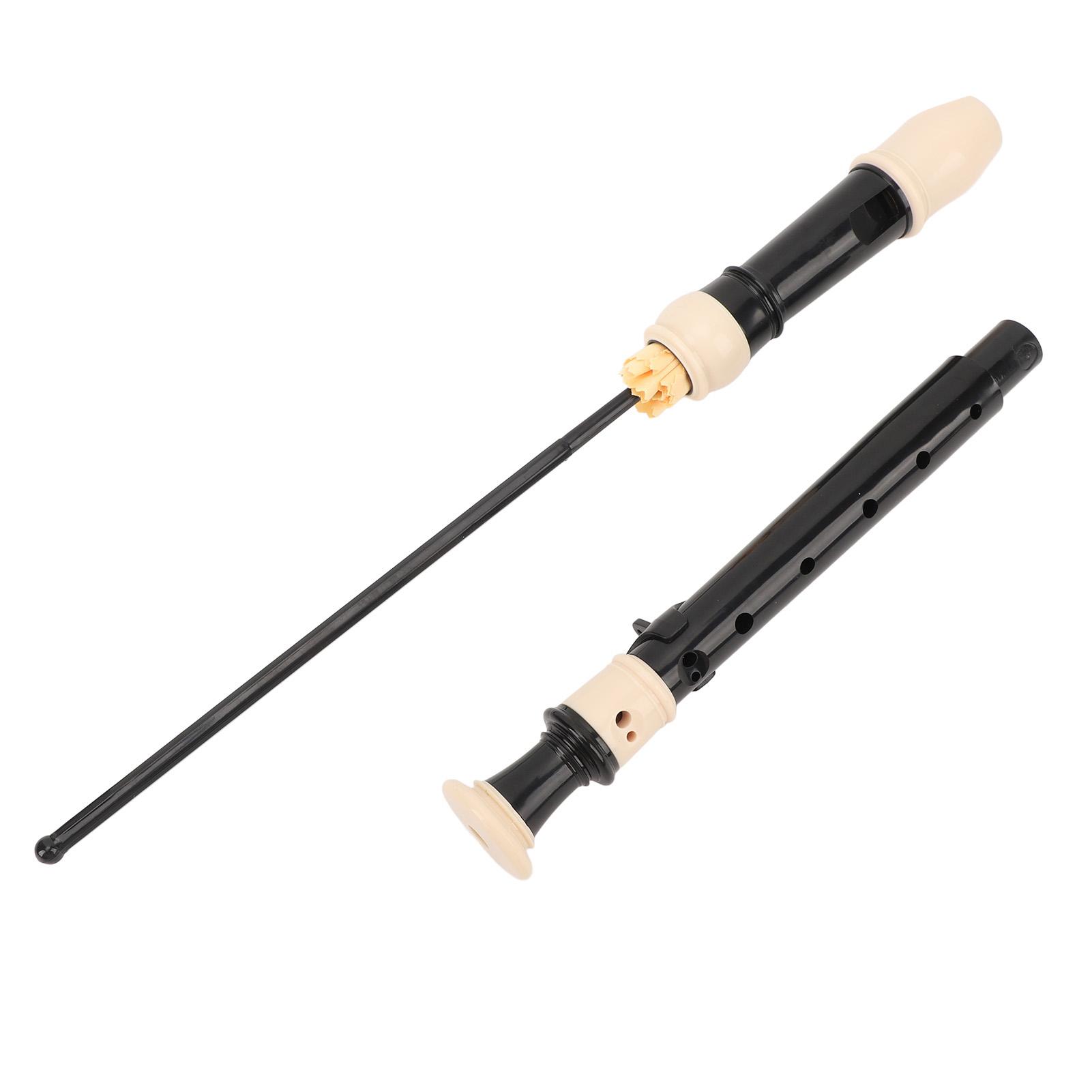 

8 Hole Recorder Detachable Soprano Recorder Musical Instrument with Cleaning Rod for Beginners Kids чёрный