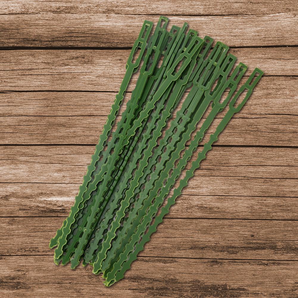 50 Pcs Plastic Garden Plant Cable Ties Adjustable Plant Fixed Tie Reusable Tree Locking Cable Ties Tools Gardening Accessories