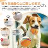 Candykenny 2026 Auto Moving Dog Ball Toy, Self Rotating Obstacle Avoidance LED Light Ball, USB Rechargeable Washable for Small Dogs Cats (Orange)