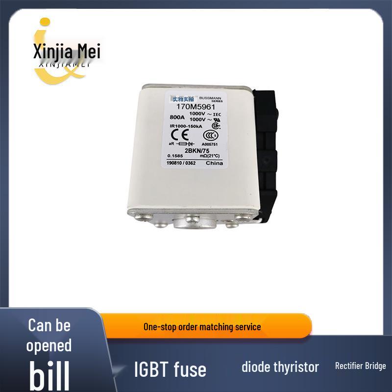 170M5961 170M6008 Fast-Acting Fuse for Electronic Components, Bulk Pricing Advantage