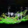For Baby Fishes Aquarium Accessories Incubator Hatchery Fish Breeding Box Fish Separation Box
