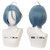 Ensemble Stars HIMERU Wig with Mesh Net - Accessories, Goods, Photoshoot, Event Accessories, Cosplay, Halloween, Costume, Disguise