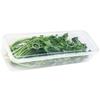 Durable PP Material Airtight Food Storage Container Home Kitchen Organizers For Organizing Scallions Ginger Garlic