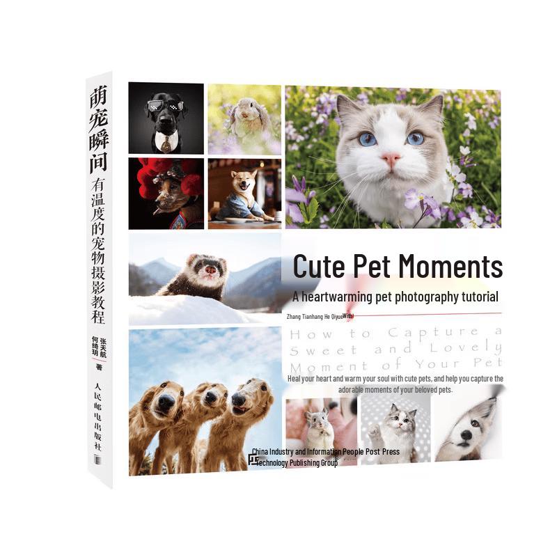 Pet Photography Guide: Capturing Warm Moments