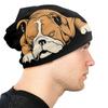 English Bulldog Washed Warm Bonnet Windproof Casual Beanies Protection Unisex Women Hats