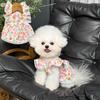 Princess Wind Floral Dress Samoyed Corgi Labrador Medium and Large Dog Doggy Skirt Pink Summer Thin Clothing