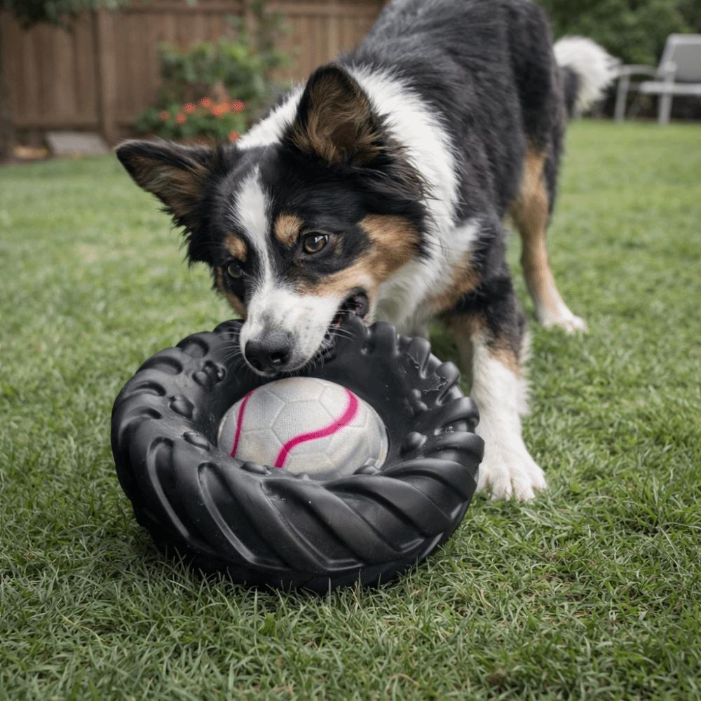 Giocattolo Interattivo Cane Elastico Suono Squeak Ruota Masticabile Cane Giocattoli Creativi per la Masticazione Gioco Indoor
