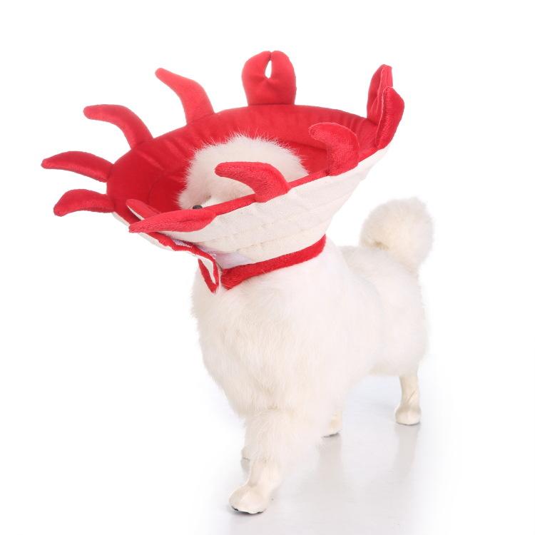 Potřeby pro domácí mazlíčky Ochranný obojek Ochranný obojek pro psy Ochranný obojek Květina Ochranný obojek Pet Beauty Medical Cover