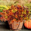5/12Pcs Fall Artificial Violet Flower Realistic Fake Silk Flower Home Office Wedding Party Table Centerpiece Faux Bloom Plants Decoration