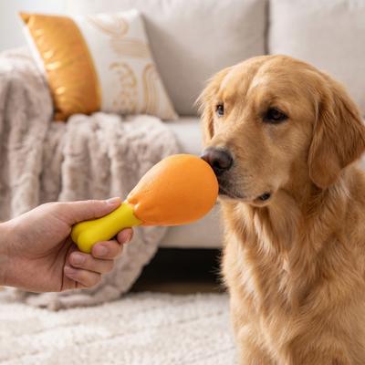 2 Pièces Jouets pour Chien Cuisse de Poulet pour Petits Chiens Jouet à Mâcher Résistant aux Morsures et Chiots Chien Interactif Produisant du Son