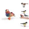 Animal Model Desktop Decor With Plastic Material For Educational Display And Bird Enthusiasts