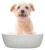 Kiyo Jochugiku Dog Bath Pet Skin Care Bath 14 Bath 10g x 14 Packets Additive, Geranium, Packets,