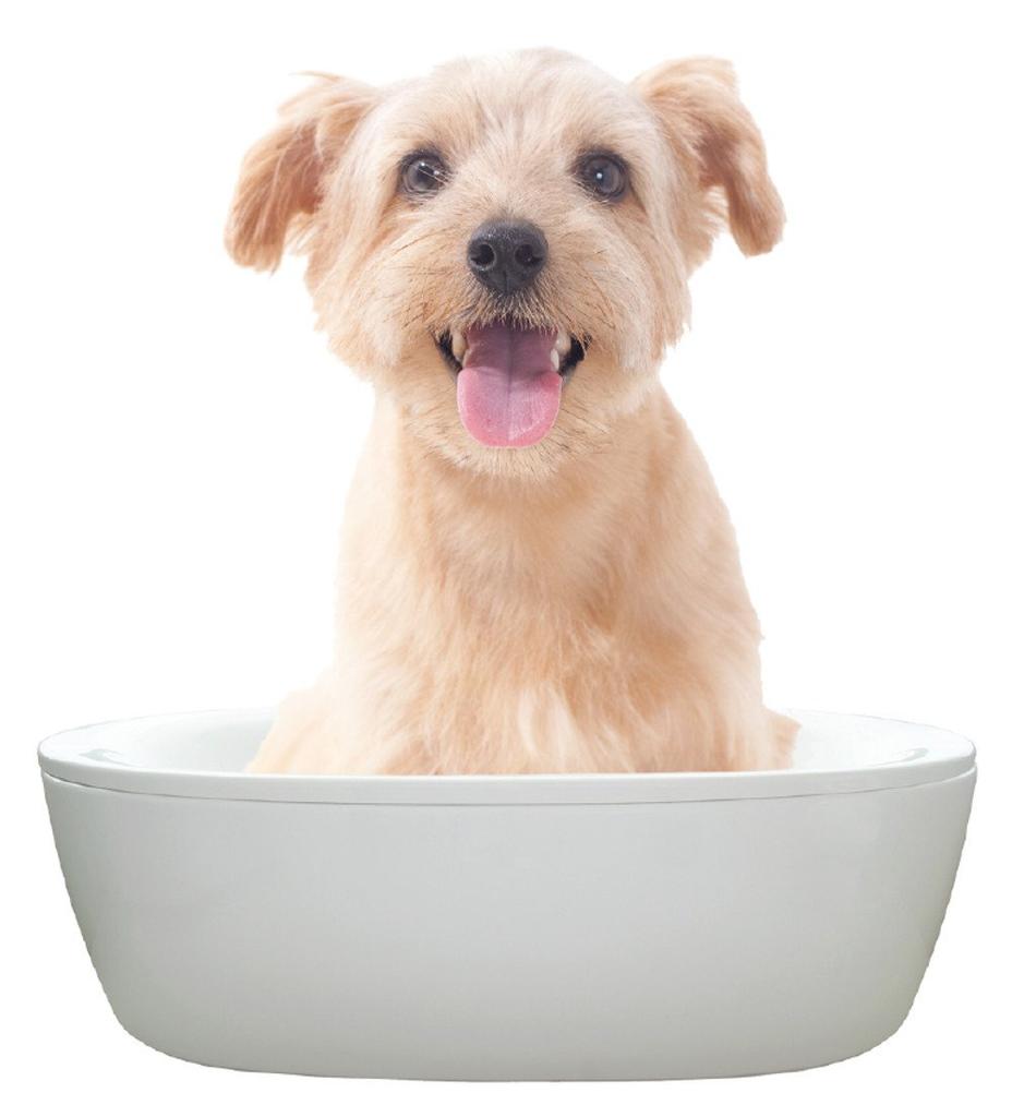 Kiyo Jochugiku Dog Bath Pet Skin Care Bath 14 Bath 10g x 14 Packets Additive, Geranium, Packets,