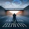 Sailfish and Elephants by Christina Wilkinson Paperback Book 9781837949816
