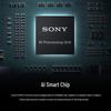 Sony Alpha 6700 APS-C Mirrorless Camera with 16-50mm Power Zoom Lens (CN version)
