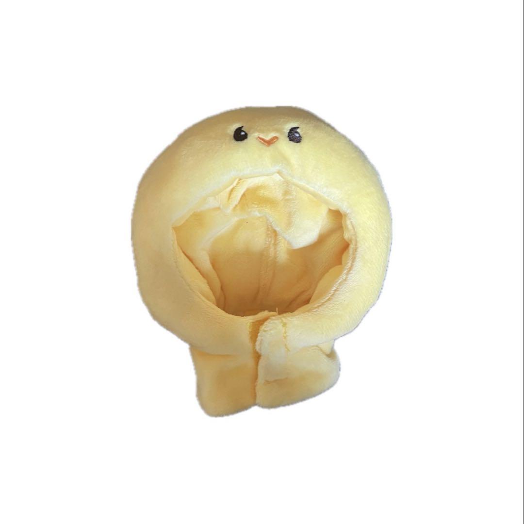 

[Б/У] Чехол для лайтстика SHINee Taemin, товары Temari, корейский идол