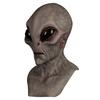 Halloween Alien Mask Scary Horrible Horror Alien Mask Mask