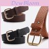 Vintage Snake Pattern Pu Belt With Metal Pin Buckle For Casual Jeans And Dresses