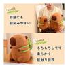 Hyack Capybara Stuffed Animal Goods (33cm) [Parallel Import]