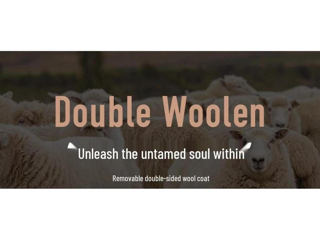 2025 Winter High-End Men's Wool Coat with Detachable Down Liner - Double-Sided Casual Jacket for Middle-Aged and Elderly